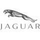 Jaguar_80x80